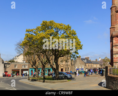 Straßenszene in Kirk Green mit Bäume außerhalb St. Magnus Kathedrale. Kirkwall Orkney Festland nördlichen Inseln Schottland, Vereinigtes Königreich Stockfoto