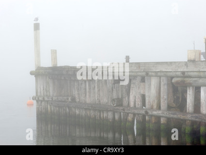 Schweden Westküste Stockfoto