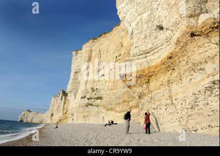 Die Kreide Klippen von Etretat Normandie Frankreich Stockfoto