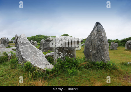 Alignements de Kerzerho Erdeven Carnac Bretagne Bretagne Stockfoto