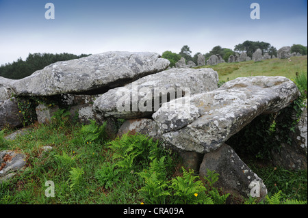 Alignements de Kermario Carnac Bretagne Frankreich Stockfoto