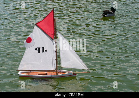 Spielzeug-Yacht Segeln auf dem Grand Bassin Teich am Jardin du Luxembourg in Paris Stockfoto