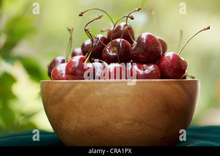 Bowl of Cherries, Wooden Bowl with Cherries Stockfoto