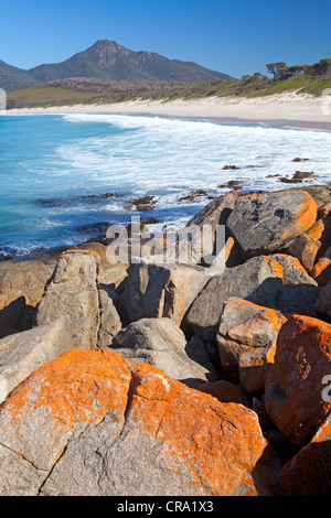 Blick entlang Wineglass Bay mit Mt Freycinet steigt über Stockfoto