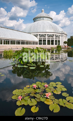 Enid Haupt Wintergarten an der New York Botanical Garden in New York City Stockfoto