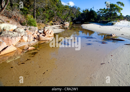 Creek am südlichen Ende der Wineglass Bay im Freycinet National Park Stockfoto