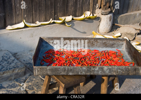 Rote Chilis trocknen in der Sonne - Dazhai Village, Provinz Shanxi, China Stockfoto