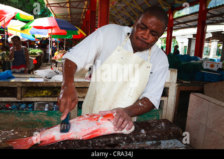 Mann arbeitet auf dem Fischmarkt Sir Selwyn Clark in Victoria, Mahe, Seychellen, Stockfoto