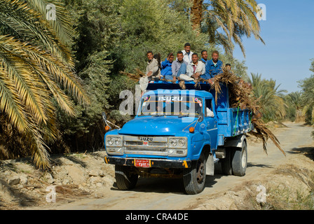 Voll beladener Lkw in der Oase Siwa, Ägypten, Afrika Stockfoto