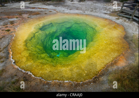 Morning Glory Pool, Upper Geyser Basin, Yellowstone-Nationalpark, Wyoming, USA Stockfoto