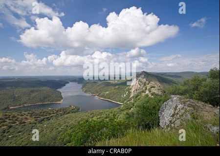 Tagus oder Tajo Flusses, Monfraguee Nationalpark, Extremadura, Spanien, Europa Stockfoto