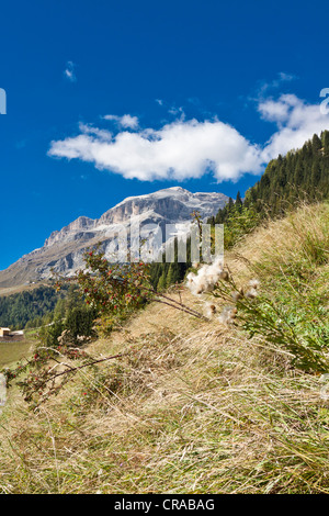 Blick von Varda in Richtung Piz Boé Berg, 3152 m, Sellagruppe, Sella Ronda Ski Weg, Dolomiten, Italien, Europa Stockfoto