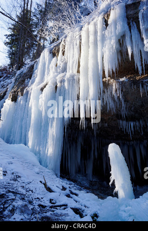 Eiszapfen im Eistobel Schlucht, Maierhoefen, Bayern, Deutschland, Europa Stockfoto