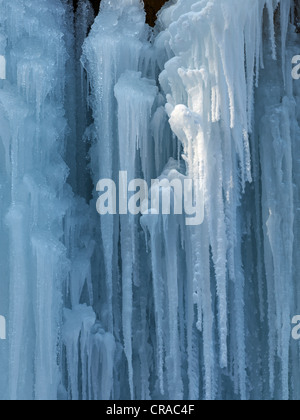 Eiszapfen im Eistobel Schlucht, Maierhoefen, Bayern, Deutschland, Europa Stockfoto