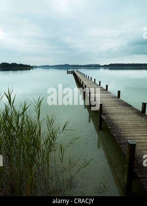 Steg im See Woerthsee, Bayern, Deutschland, Europa Stockfoto