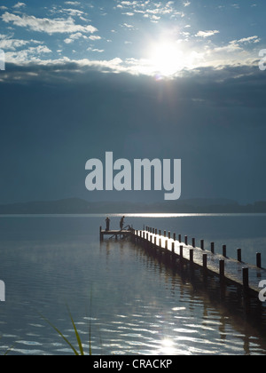 Steg im See Woerthsee, Bayern, Deutschland, Europa Stockfoto