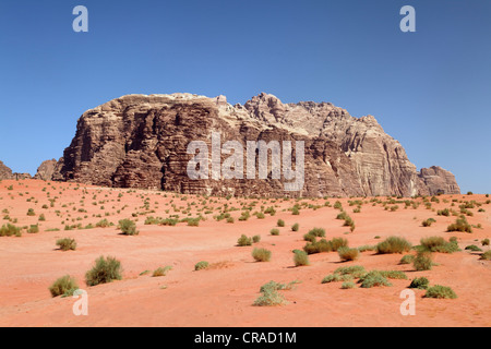 Berge, weite Ebenen und Wüsten Sträucher, Wadi Rum, Haschemitischen Königreich Jordanien, Naher Osten, Asien Stockfoto