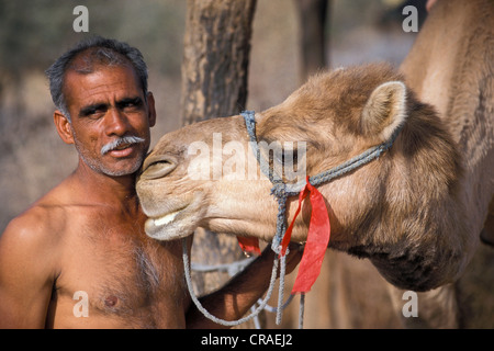 Mann mit einem Kamel, Katariysar, in der Nähe von Bikaner, Rajasthan, Indien, Asien Stockfoto