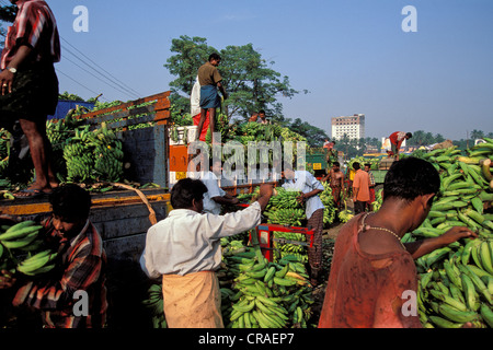 Banane auf dem Bananenmarkt, Thrissur, Kerala, Südindien, Asien geladen wird Stockfoto