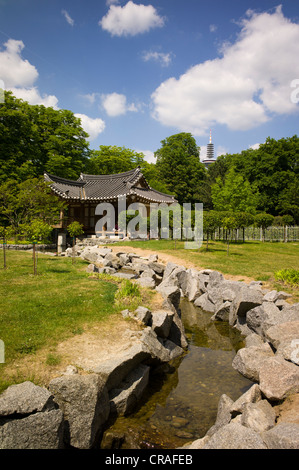 Koreanischer Garten Park im Grueneburgpark Garten, Frankfurter
