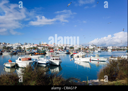 Hafen mit Fischerbooten, Lagos, Faron, Algarve, Portugal, Europa Stockfoto