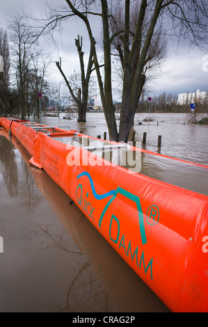 Knstlichen Hochwasser Schutz dam QUICK DAMM-SYSTEM, berschwemmungen,  Frankfurt am Main, Hessen, Deutschland, Europa Stockfotografie - Alamy
