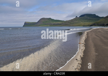 Strand, Hornvík oder Hornvik Bucht, Hornstrandir, Westfjorde, Island, Europa Stockfoto