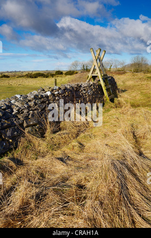 Ein Stil über eine Trockenmauer auf die Mendip Hills bei Ubley Warren in der Nähe der Kartause, Somerset England. Stockfoto