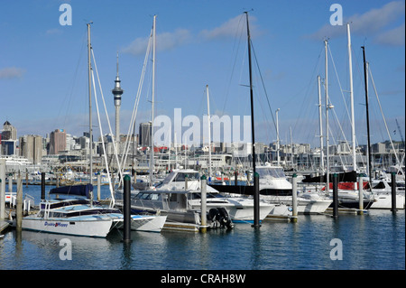 Segelschiffe in der Westhaven Marina, Skyline und Skytower hinten, Auckland, New Zealand, PublicGround Stockfoto