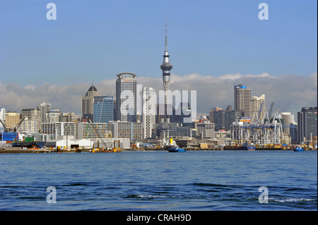 Skyline von Devonport, Auckland, Neuseeland Stockfoto