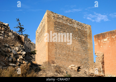 Ruinen von La Mola Burg aus der maurischen Zeit Novelda, Costa Blanca, Spanien, Europa Stockfoto