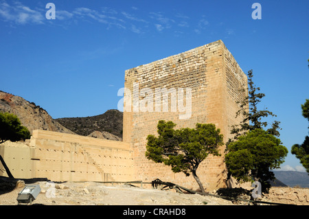 Ruinen von La Mola Burg aus der maurischen Zeit Novelda, Costa Blanca, Spanien, Europa Stockfoto