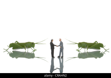 Miniaturfiguren Geschäftsleute Händeschütteln nach der Versiegelung eines Vertrags zwischen zwei Heuschrecken, symbolisches Bild Stockfoto