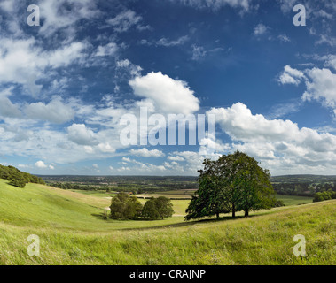 Blick über den North Downs in Richtung Sevenoaks. Stockfoto