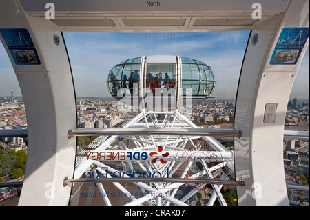 Passagier-Kapsel des London Eye, London, England, Vereinigtes Königreich, Europa Stockfoto