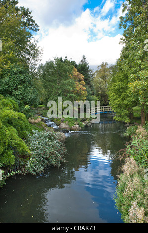 Regents Park, London, England, Vereinigtes Königreich, Europa Stockfoto