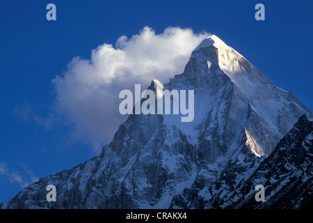 Mount Shivling, 6543 m höchsten natürlichen Shiva-Lingam, oben Gaumukh, die Quelle des Flusses Ganges, in der Nähe von Gangotri Uttarakhand Stockfoto