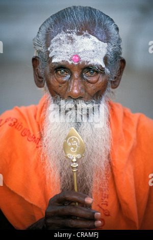 Sadhu mit einem weißen Bart, Porträt, Tiruchendur, Tamil Nadu, Südindien, Indien, Asien Stockfoto