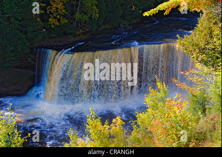 Tahquamenon Wasserfälle State Park-Paradies-Michigan Stockfoto