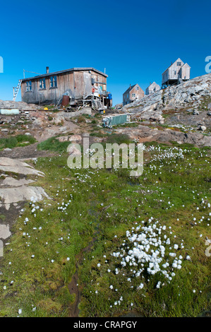 Inuit Häuser, Inuit-Siedlung Tiniteqilaaq, Sermilik Fjord, Ostgrönland Stockfoto