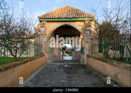 Gateway, Hala Sultan Tekke oder die Moschee von Umm Haram, Larnaca, Zypern Stockfoto