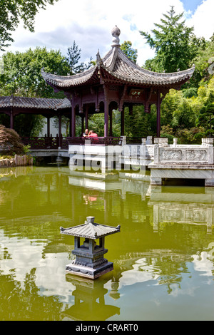 34+ Chinesischer Garten Frankfurt 360, Als ich die fotos meinen