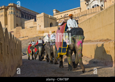 Bemalte Elefanten und Mahouts, Amber Fort, Jaipur, Rajasthan, Indien, Asien Stockfoto