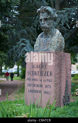 Büste von Dr. Albert Schweitzer, Kaysersberg, Elsass, Frankreich, Europa Stockfoto