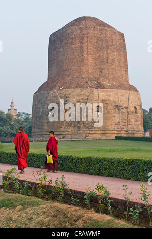 Mönche vor der Dhamek Stupa, buddhistischen Heiligen Ort Sarnath, Uttar Pradesh, Indien, Asien Stockfoto