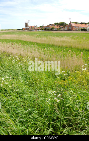 Die North Norfolk Küste Dorf Cley und seine Windmühle mit Schilfbeständen im Vordergrund. Stockfoto