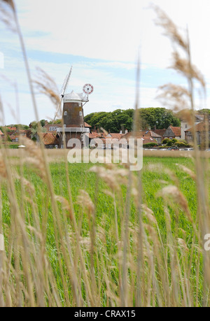 Die North Norfolk Küste Dorf Cley und seine Windmühle mit Schilfbeständen im Vordergrund. Stockfoto