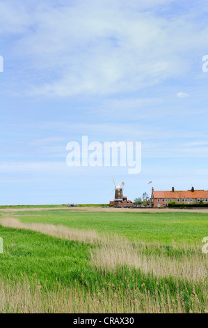 Die North Norfolk Küste Dorf Cley und seine Windmühle mit Schilfbeständen im Vordergrund. Stockfoto