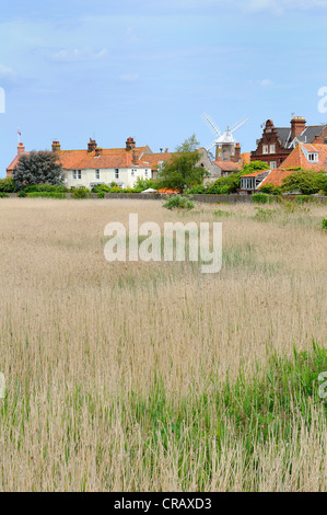Die North Norfolk Küste Dorf Cley und seine Windmühle mit Schilfbeständen im Vordergrund. Stockfoto