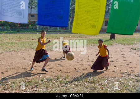 Junge Mönche, die Fußball spielen, tibetischen Flüchtlings-Siedlung in Bylakuppe, Distrikt Mysore, Karnataka, Südindien, Indien, Asien Stockfoto